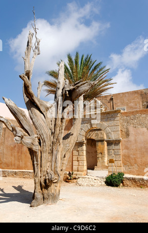 Moni Arkadiou. Kreta. Griechenland. Blick auf die berühmte Kugel Baum innerhalb der beeindruckenden Kloster Arkadiou. Stockfoto