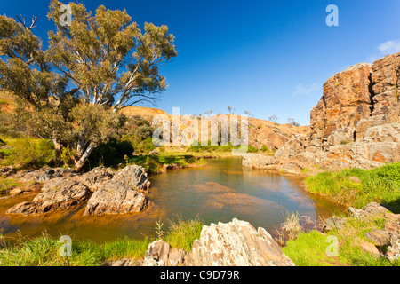 Appila Springs in der Nähe von Jamestown im mittleren Norden von South Australia Stockfoto