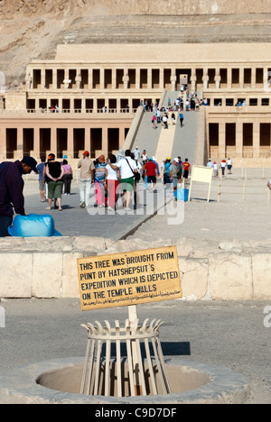 Totentempel der Königin Hatschepsut - Deir el Bahari - Oberägypten Stockfoto