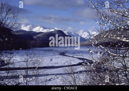 Panoramablick über Chilkat Valley, Alaska, USA Stockfoto