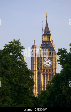 Big Ben Uhrturm am Abend Sonnenschein im Sommer, Houses of Parliament, Westminster, London, England, UK, Deutschland, GB, Gre Stockfoto