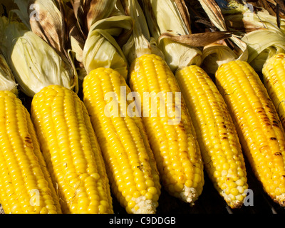 Gegrillte Ähren Stockfoto