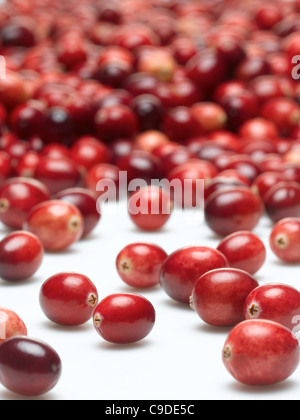 Preiselbeeren Stockfoto