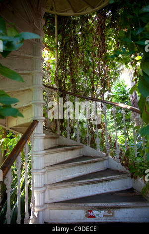 Gemäßigten Haus - Gewächshaus Treppe in Kew Gardens in London Stockfoto