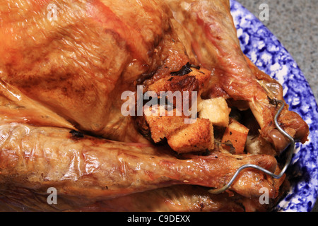 Nahaufnahme von gebackenen Truthahn mit Füllung auf einem blau-weißen Teller Stockfoto