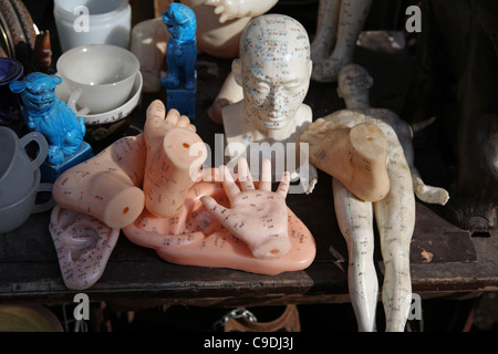 Akupunktur-Modelle von Körperteilen für Verkauf auf Shanghai Straßenmarkt zeigt Punkt Standorte, TCM, China, Asien Stockfoto