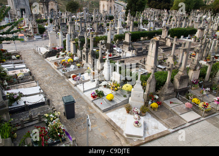 Friedhof in Palma de Mallorca-Mallorca-Balearen-Spanien Stockfoto