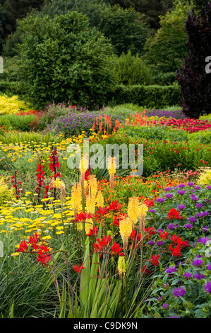 Die heißen Garten im Sommer, RHS Rosemoor, Devon, England, Vereinigtes Königreich Stockfoto