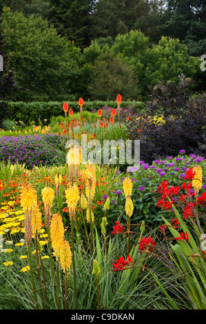 Die heißen Garten im Sommer, RHS Rosemoor, Devon, England, Vereinigtes Königreich Stockfoto