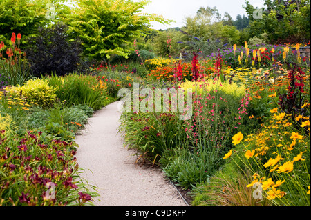 Die heißen Garten im Sommer, RHS Rosemoor, Devon, England, Vereinigtes Königreich Stockfoto