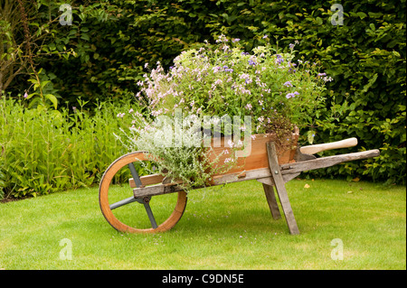 Schubkarre-Pflanzgefäß mit gemischten Blüten im Sommer, RHS Rosemoor, Devon, England, Vereinigtes Königreich Stockfoto