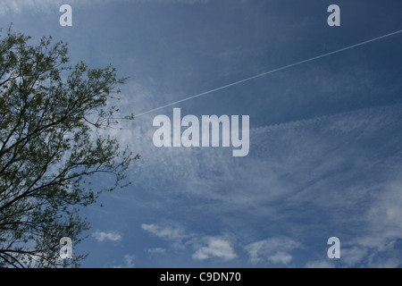 Blauen Sommerhimmel mit Flugzeug Trailrunning-Dampf über den Himmel mit Weide im Vordergrund. Stockfoto