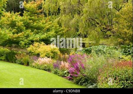 Der See im Sommer, RHS Rosemoor, Devon, England, Vereinigtes Königreich Stockfoto