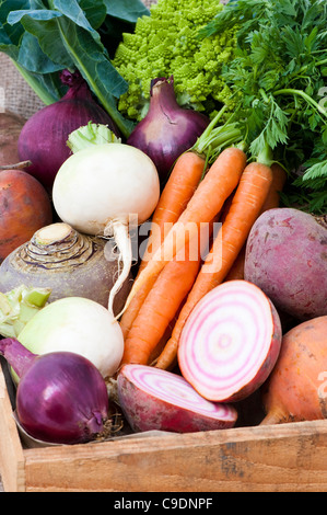 Schachtel mit gemischtem Gemüse: Rüben, Karotten, Schwede, rote Beete, rote Zwiebeln und römischen Blumenkohl Stockfoto