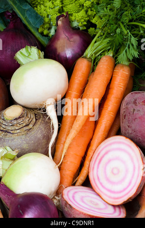 Gemischtes Gemüse: Rüben, Karotten, Schwede, rote Beete und roten Zwiebeln Stockfoto