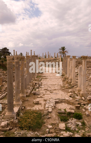 Al Mina archäologische Stätte, Reifen, Süd-Libanon. Stockfoto