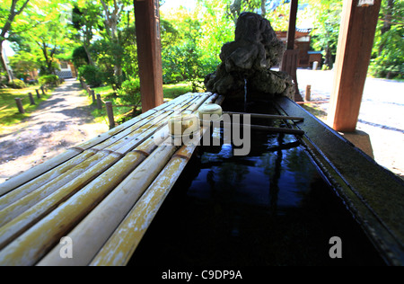 Chouzuya (Reinigungspavillon) Wasserbecken Stockfoto