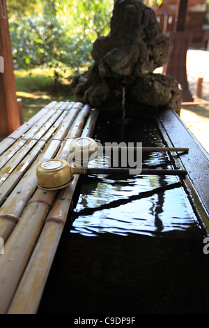 Chouzuya (Reinigungspavillon) Wasserbecken Stockfoto
