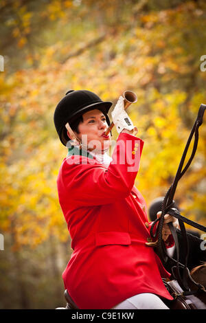 Meister von Jagdhunden Kathy Wall nennt die Hunde während des Starts der Fuchs Jagdsaison auf Middleton Place Plantage am 27. November 2011 in Charleston, South Carolina. Die Middleton Place-Jagd ist ein kein töten Fuchsjagd genannt eine Drag-Jagd. Stockfoto