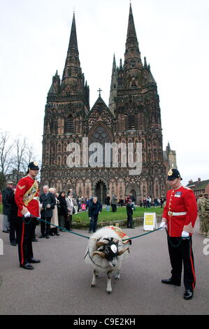 Maskottchen des 3. Bataillons der Mercian Regiment in Lichfield Kathedrale vor marschieren rund um die Stadt von Lichfield, Staffordshire, England vor einer Heimkehr-Service in der Kathedrale von Lichfield am 28. November 2011 nach ihrer Rückkehr aus Afghanistan Stockfoto