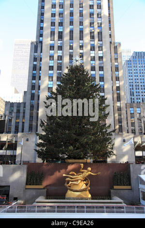 Das Rockefeller Center Weihnachten Baum, Manhattan, New York City, USA am Donnerstag, 1. Dezember 2011.  Der Baum wurde am 30. November beleuchtet, die offiziell die Weihnachtszeit in New York City beginnt. Stockfoto