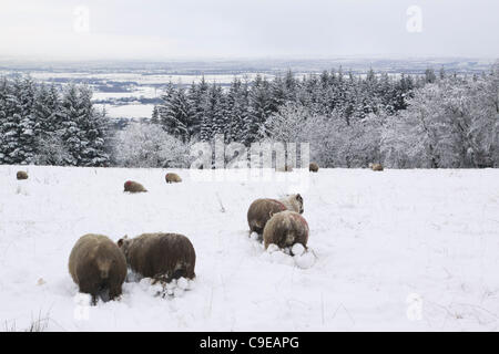 12.05.11 erste echte Schnee des Jahres decken Glasgow.  Ansicht von Norden und Osten von Glasgow tief verschneit aus Lennoxtown gesehen. Stockfoto