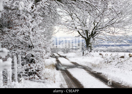 12.05.11 erste echte Schnee des Jahres decken Glasgow.  Ansicht von Norden und Osten von Glasgow tief verschneit aus Lennoxtown gesehen. Stockfoto