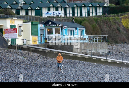 13. Dezember 2011 blieb - Swansea, UK - eine Frau trotzten dem Regen ihren dalmatinischen Hund bei Langland Bucht, Swansea heute Morgen gehen, wie die South Wales Küste ist durch die starken Winde zerschlagen und Starkregen als Wetterwarnungen. Stockfoto