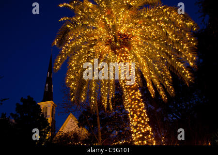 Eine Palme dekoriert mit Weihnachten Lichter Frames Zitadelle Square Baptist Church auf historischen Marion Square am 18. Dezember 2011 in Charleston, South Carolina. Stockfoto