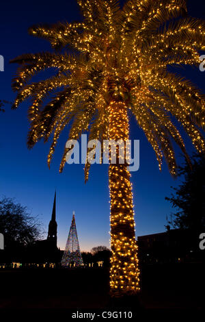 Ein Weihnachtsbaum dekoriert mit Urlaub Lichter Frames St. Matthews Church auf historischen Marion Square am 18. Dezember 2011 in Charleston, South Carolina. Stockfoto