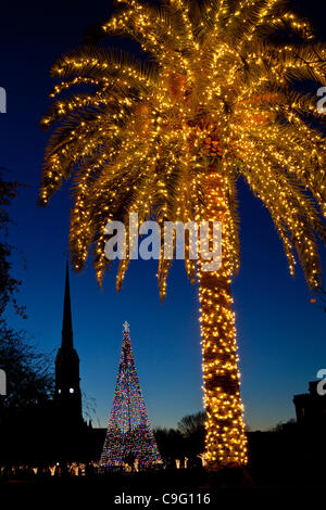 Ein Weihnachtsbaum dekoriert mit Urlaub Lichter Frames St. Matthews Church auf historischen Marion Square am 18. Dezember 2011 in Charleston, South Carolina. Stockfoto