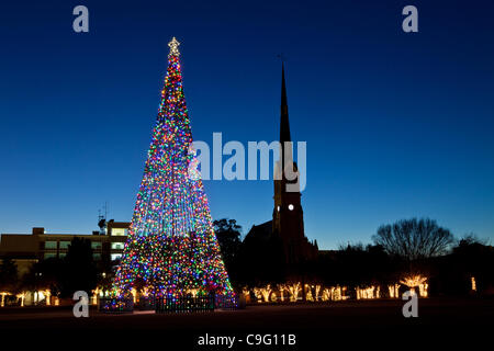 Ein Weihnachtsbaum dekoriert mit Urlaub Lichter Frames St. Matthews Church auf historischen Marion Square am 18. Dezember 2011 in Charleston, South Carolina. Stockfoto