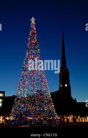 Ein Weihnachtsbaum dekoriert mit Urlaub Lichter Frames St. Matthews Church auf historischen Marion Square am 18. Dezember 2011 in Charleston, South Carolina. Stockfoto