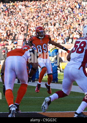 24. Dezember 2011 - Salti Cincinnati, Ohio, USA - Cincinnati Bengals Wide Receiver Jerome Simpson (89) in die Endzone für einen Touchdown im zweiten Quartal das Spiel zwischen den Arizona Cardinals und den Cincinnati Bengals Paul Brown Stadium, Cincinnati, Ohio. (Kredit-Bild: © Scott Stuart/Sou Stockfoto