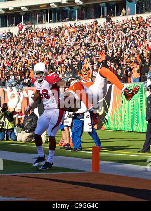 24. Dezember 2011 - Salti Cincinnati, Ohio, USA - Cincinnati Bengals Wide Receiver Jerome Simpson (89) in die Endzone für einen Touchdown im zweiten Quartal das Spiel zwischen den Arizona Cardinals und den Cincinnati Bengals Paul Brown Stadium, Cincinnati, Ohio. (Kredit-Bild: © Scott Stuart/Sou Stockfoto