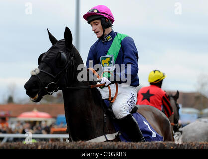 26.12.2011 Sunbury, England. Daryl Jacob Gandalfe (FR) vor dem 13:25 William Hill - Haus von Wetten Novizinnen Handicap Chase (Klasse 3), Teil des The William Hill Winter Festival am zweiten Weihnachtstag in Kempton Park Racecourse. Stockfoto