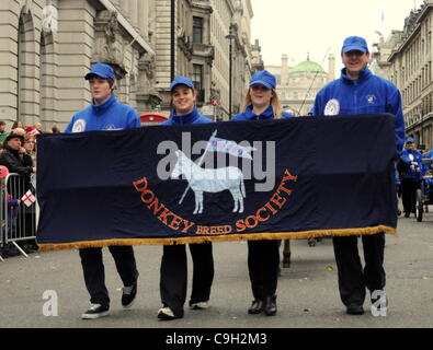 Der Esel Rasse Gesellschaft marschieren während der Londoner New Year es Day Parade. 01.01.12 Stockfoto