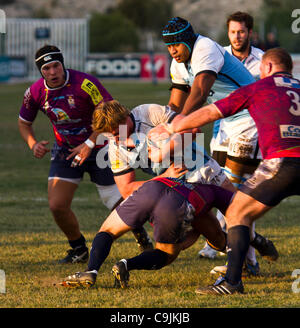 14/01/2011. Valencia, Spanien Amlin Europacup - Rugby - La Vila Joiosa vs. Verkauf Haifische (Manchester) Sale Sharks machte einen leichten Sieg gegen La Vila Joyosa 10 69 Stockfoto