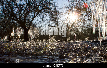 17. Januar 2012 - Modesto, CA, USA - mit den Temperaturen unter dem Gefrierpunkt in Zentralkalifornien Dienstagmorgen es eine Eisskulptur für Passanten Mandel Obstgarten überlassen. (Kredit-Bild: © Marty Bicek/ZUMAPRESS.com) Stockfoto