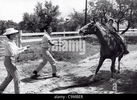 STEWART GRANGER Jean Simmons Tochter Tracy Granger im Yerba Buena Ranch.Supplied von Fotos, inc. (Credit-Bild: © Globe Photos/ZUMAPRESS.com) Stockfoto