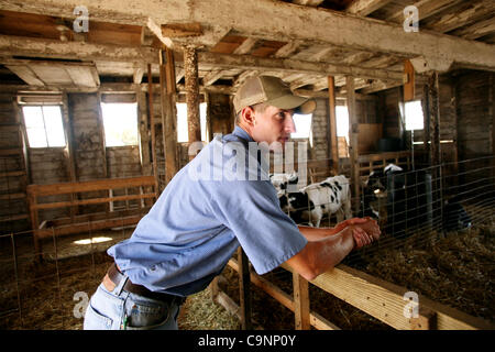 11. Juli 2007 - Dixon, Illinois, USA - Paul Burrs, 28, 400 Hektar in der Nähe von Dixon, Illinois, Bauernhöfe und wirft Rinder mit Matt Schumacher, 28, auf weitere 100 Hektar auf Matts Bauernhof. (Kredit-Bild: © Sally Ryan/ZUMA Press) Stockfoto