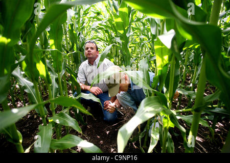 11. Juli 2007 - Dixon, Illinois, USA - Matt Schumacher, 28, links, und Paul Burrs, 28, farm 500 Hektar in der Nähe von Dixon, Illinois, einschließlich Reihenkulturen und Vieh. Die beiden Männer gebündelt ihre finanzielle Ausstattung Ressourcen, und sie hoffen, dass ihre Zusammenarbeit hilft ihnen mit größeren Betrieben konkurrieren. (Credit Stockfoto