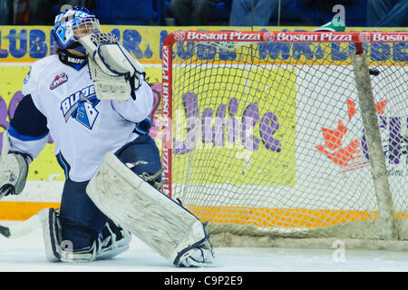 4. Februar 2012 - Saskatoon, Saskatchewan, Kanada - The Medicine Hat Tigers erhalten den Puck hinter Saskatoon Blades Torwart Andrey Makarov (#1) in Aktion während des Spiels Saskatoon Blades vs. Medicine Hat Tigers an Credit Union Centre in Saskatoon. (Kredit-Bild: © Derek Mortensen/Southcreek/ZUMAPRESS.com Stockfoto