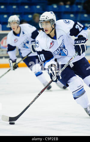 4. Februar 2012 - Saskatoon, Saskatchewan, Kanada - Saskatoon Blades Rechtsaußen Josh Nicholls (#20) spielt den Puck in Aktion während des Spiels Saskatoon Blades vs. Medicine Hat Tigers im Credit Union Centre in Saskatoon. (Kredit-Bild: © Derek Mortensen/Southcreek/ZUMAPRESS.com) Stockfoto