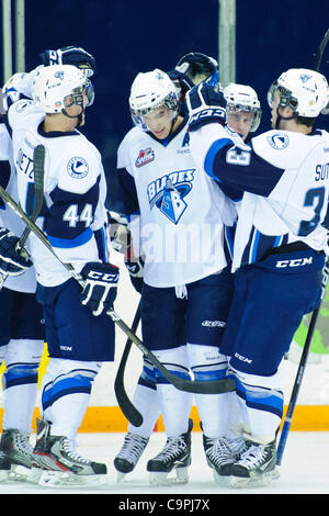 8. Februar 2012 - Saskatoon, Saskatchewan, Kanada - Saskatoon Blades Rechtsaußen Michael Burns (#21) feiert sein Tor in Aktion während des Spiels Saskatoon Blades vs. Swift aktuelle Broncos im Credit Union Centre in Saskatoon. (Kredit-Bild: © Derek Mortensen/Southcreek/ZUMAPRESS.com) Stockfoto