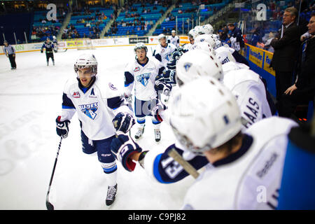 8. Februar 2012 feiern die Saskatoon Blades - Saskatoon, Saskatchewan, Kanada - ein Ziel in Aktion während des Spiels Saskatoon Blades vs. Swift aktuelle Broncos im Credit Union Centre in Saskatoon. (Kredit-Bild: © Derek Mortensen/Southcreek/ZUMAPRESS.com) Stockfoto