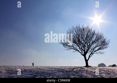 Lady, die ihren Hund auf den schneebedeckten hängen von Epsom Downs Surrey England UK. 02.11.2012 Stockfoto