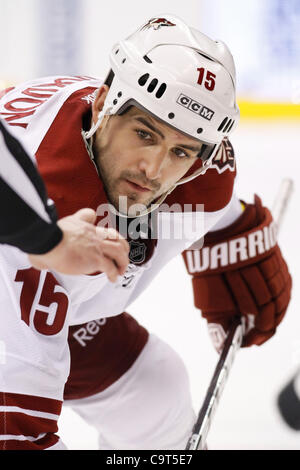 16. Februar 2012 - Los Angeles, Kalifornien, USA - Phoenix Coyotes Boyd Gordon (15) Augen unten der Faceoff.  Die Coyotes besiegen die Könige 1-0 in Verordnung im Staples Center in Los Angeles, Kalifornien. (Bild Kredit: Josh Chapel/Southcreek/ZUMAPRESS.com ©) Stockfoto