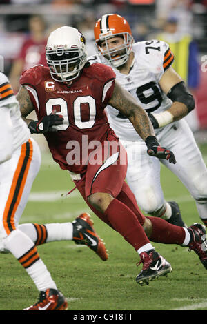 18. Dezember 2011 - Glendale, Arizona, USA - Arizona Cardinals defensive Lineman Darnell Dockett (90) in der Verfolgung in einem NFL-Spiel gegen die Cleveland Browns im University of Phoenix Stadium in Glendale, AZ (Credit-Bild: © Gene Lower/Southcreek/ZUMAPRESS.com) Stockfoto