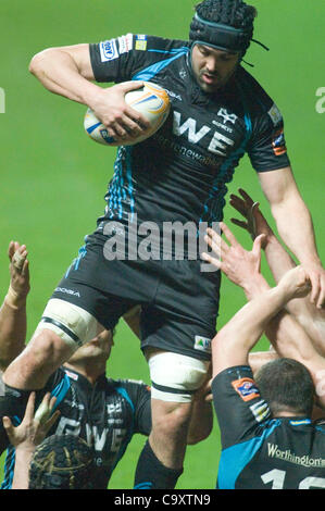 Fischadler V Glasgow Rabodirect PRO12 im Liberty Stadium in Swansea: Fischadler Jonathan Thomas nimmt den Lineout-Ball. Stockfoto